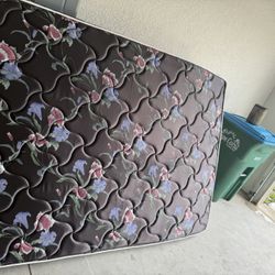 Queen Mattress 8 Inches 