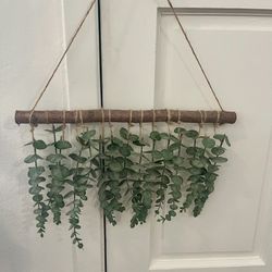 Boho Hanging Eucalyptus Wall Decor