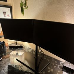 Dual HP Monitors With Stand