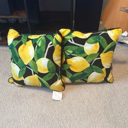 Outdoor Pillows 