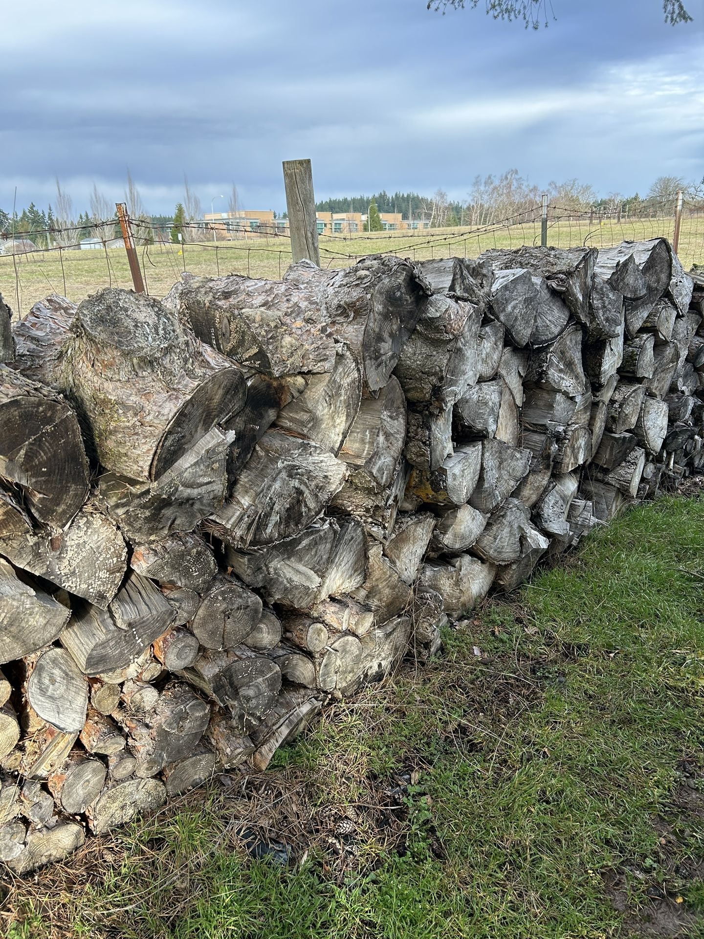 Firewood