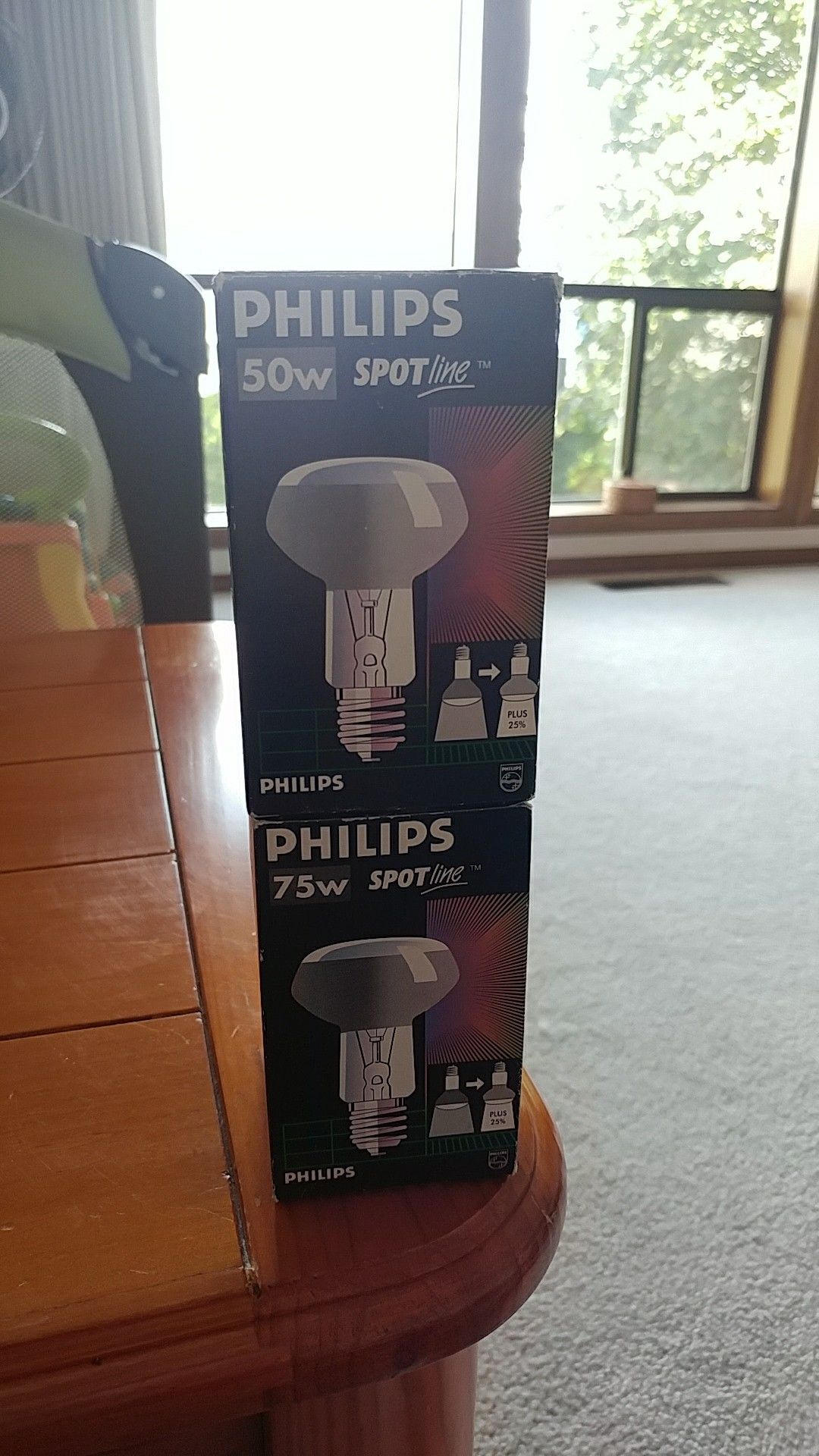 Philips spot bulbs