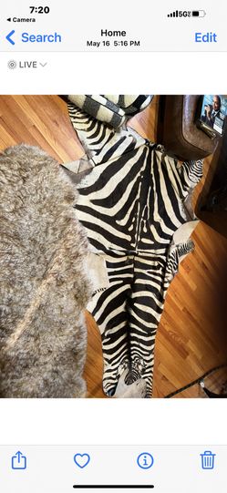 Real zebra skin rug 