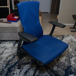 Herman Miller Embody