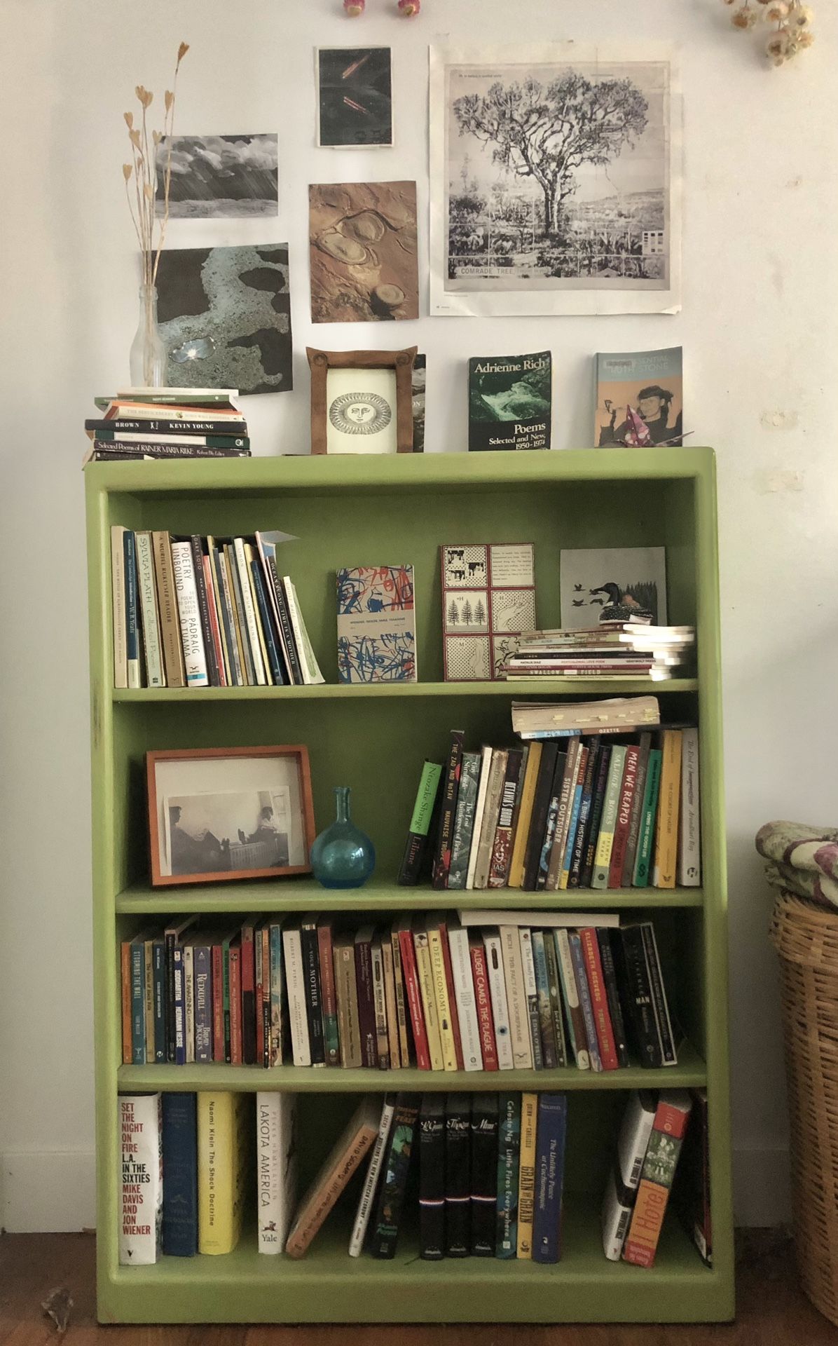 Green bookshelf