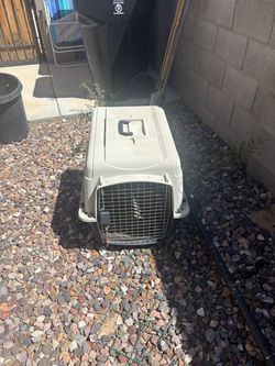 Dog kennel