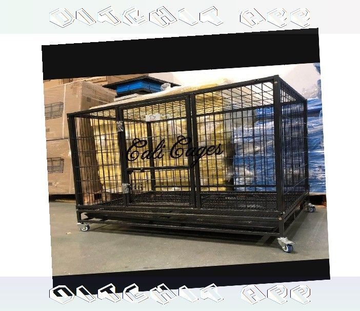 stock kid Create a Cozy Space with Dog Pet Cages and Kennels