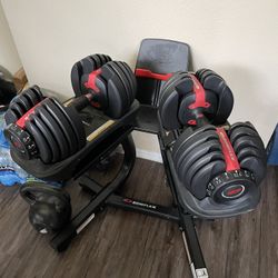 Bowflex 552 Select Tech Dumbbell Weights 