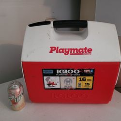 Igloo 16 Qt Cooler