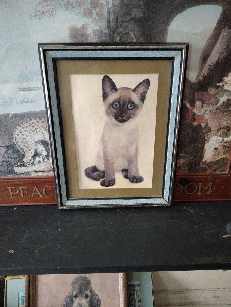 Siamese Cat Painting