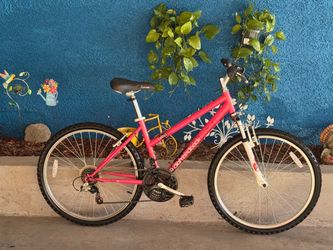 26” Diamondback Mountain Bike