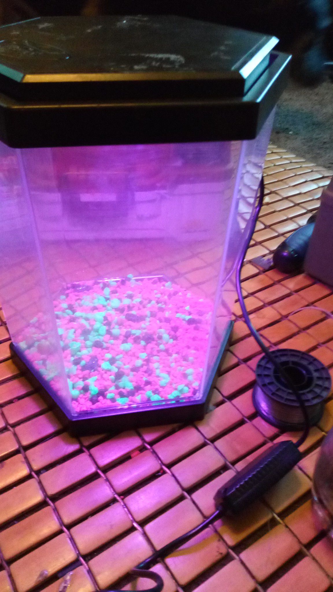 To gun fish tank comes with filter rocks bubble machine all you need is water and fishes