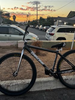 Throne 29er