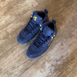 Jordan 12 Michigan Size 11