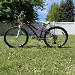 Trek 24”