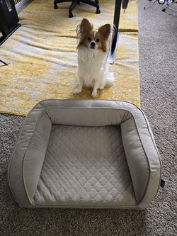 Dog Bed