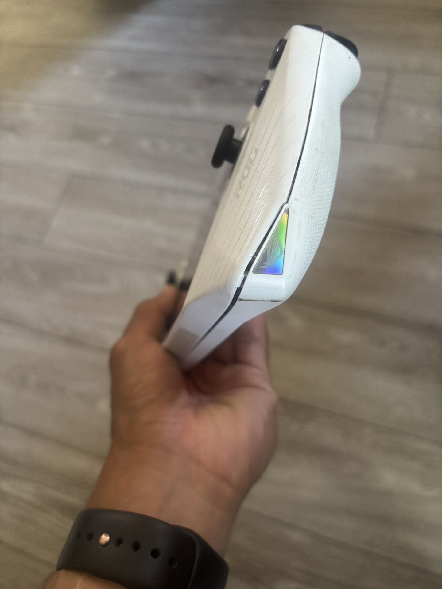Rog Ally