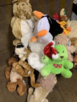 All teary bear for $50