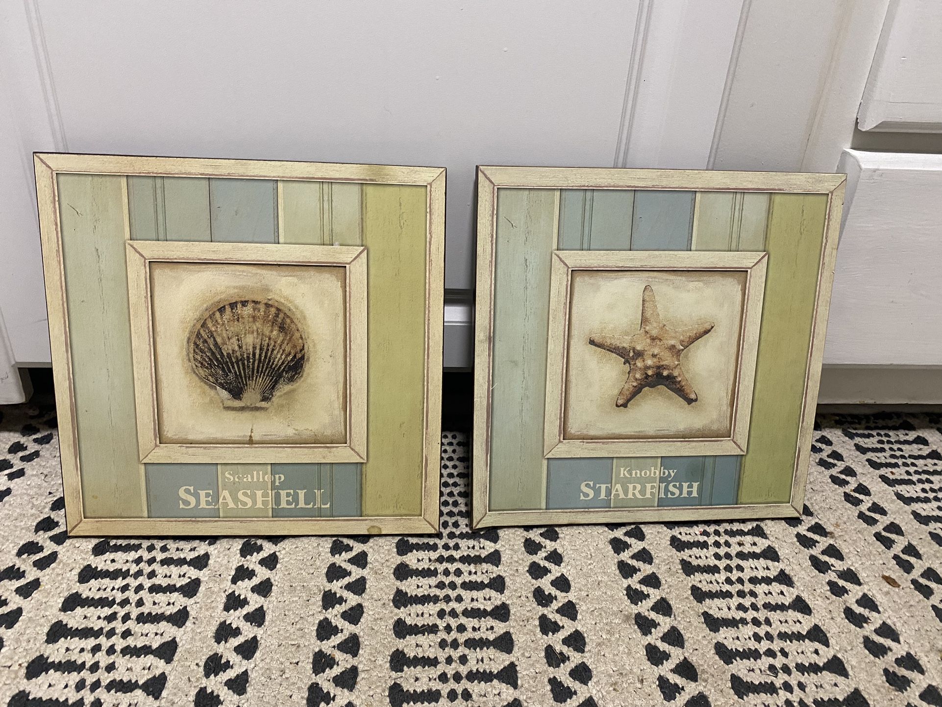 Two Seashell Pictures