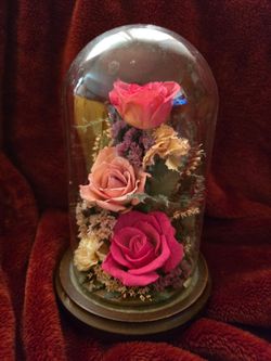 Preserved Roses Glass Dome Display