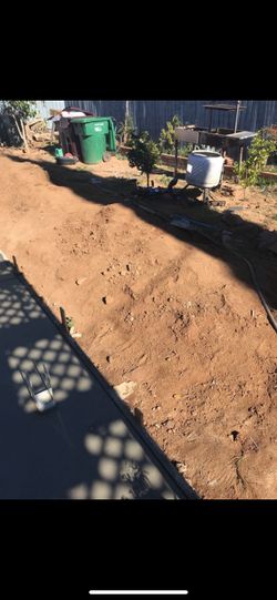Dirt