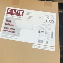 R-Lite 40w 4000 Lumens Flat Light 