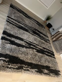 Huge Plush Area rug by Nourison (newish)