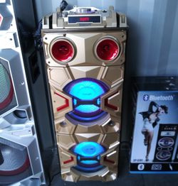 Dual 10 inch speaker