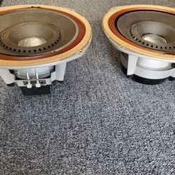University Vintage Speakers 