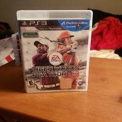 Ps3/ Tiger woods Pga Tour 13' 