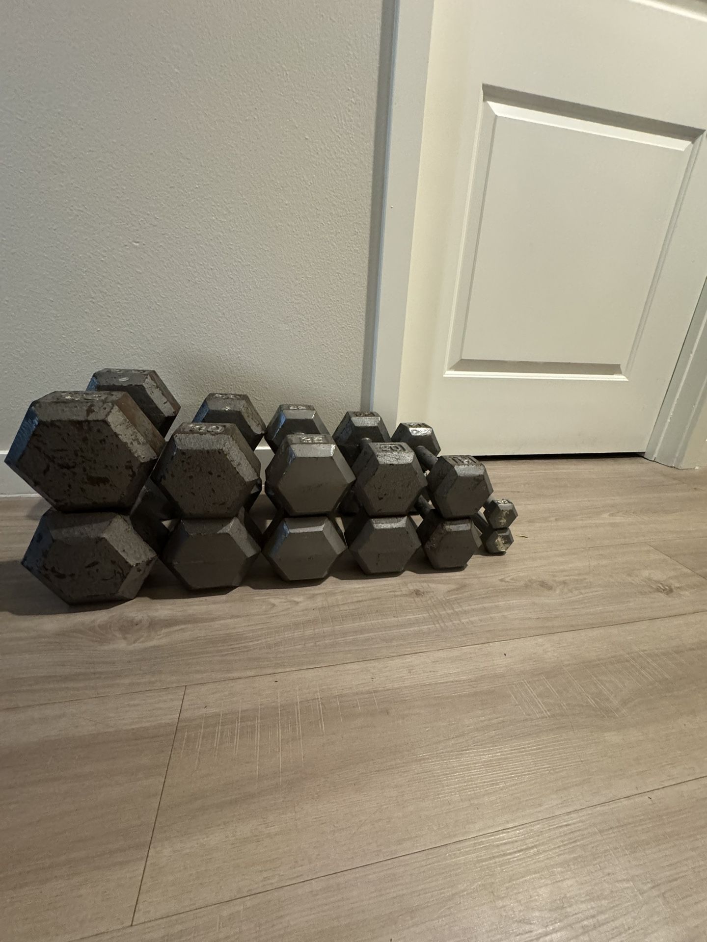Olympic Standard Dumbbells