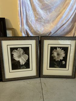 Black and gray trimming, beautiful flower