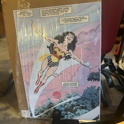 Vintage Wonder Woman Poster