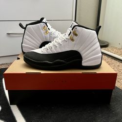 Jordan 12 Taxi Size 9.5