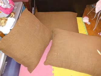 Big Brown Sofa Pillows(has some paint on one side)