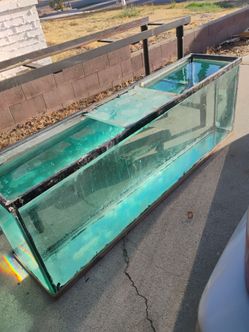 Several Aquariums For Sale on Saturday and Sunday