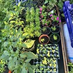 Need Last Minute Gifts? Stop On By