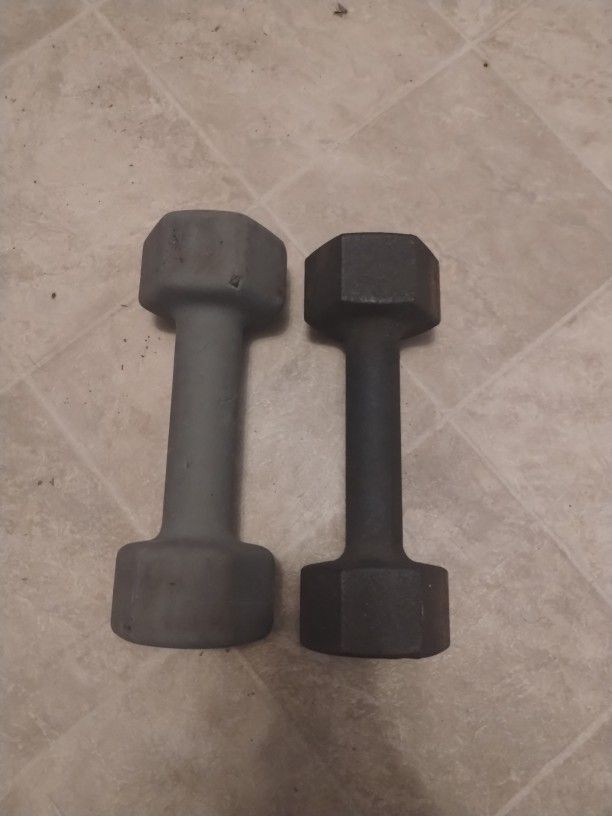 Two 10 Pound Wieghts