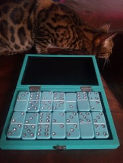 Domino set