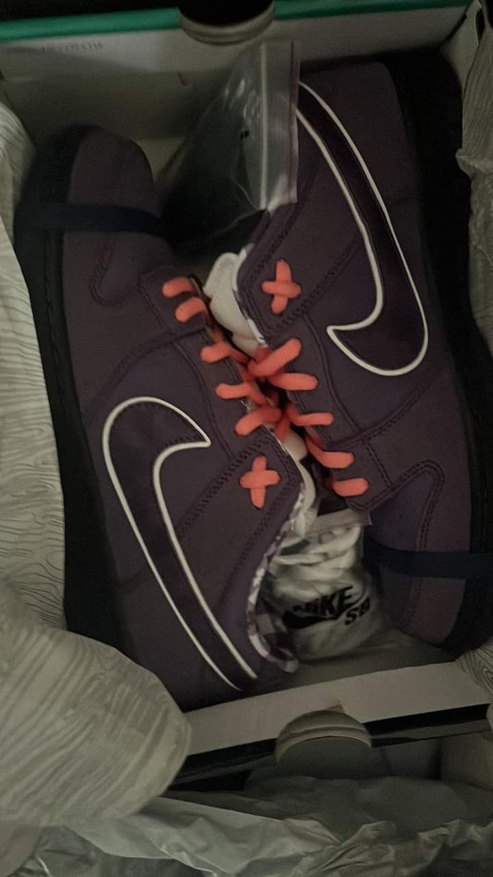 Purple Lobster Sb 