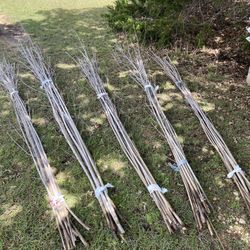 Bamboo stakes