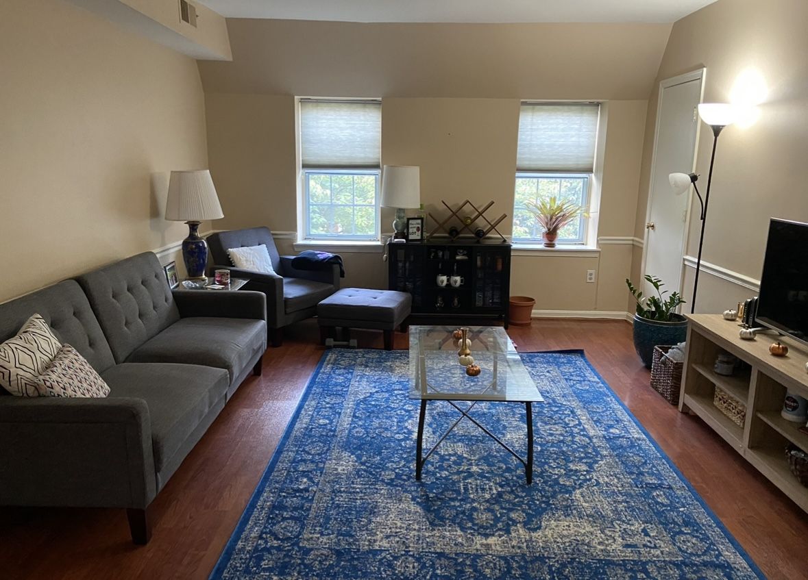 Blue And White Multicolor Rug