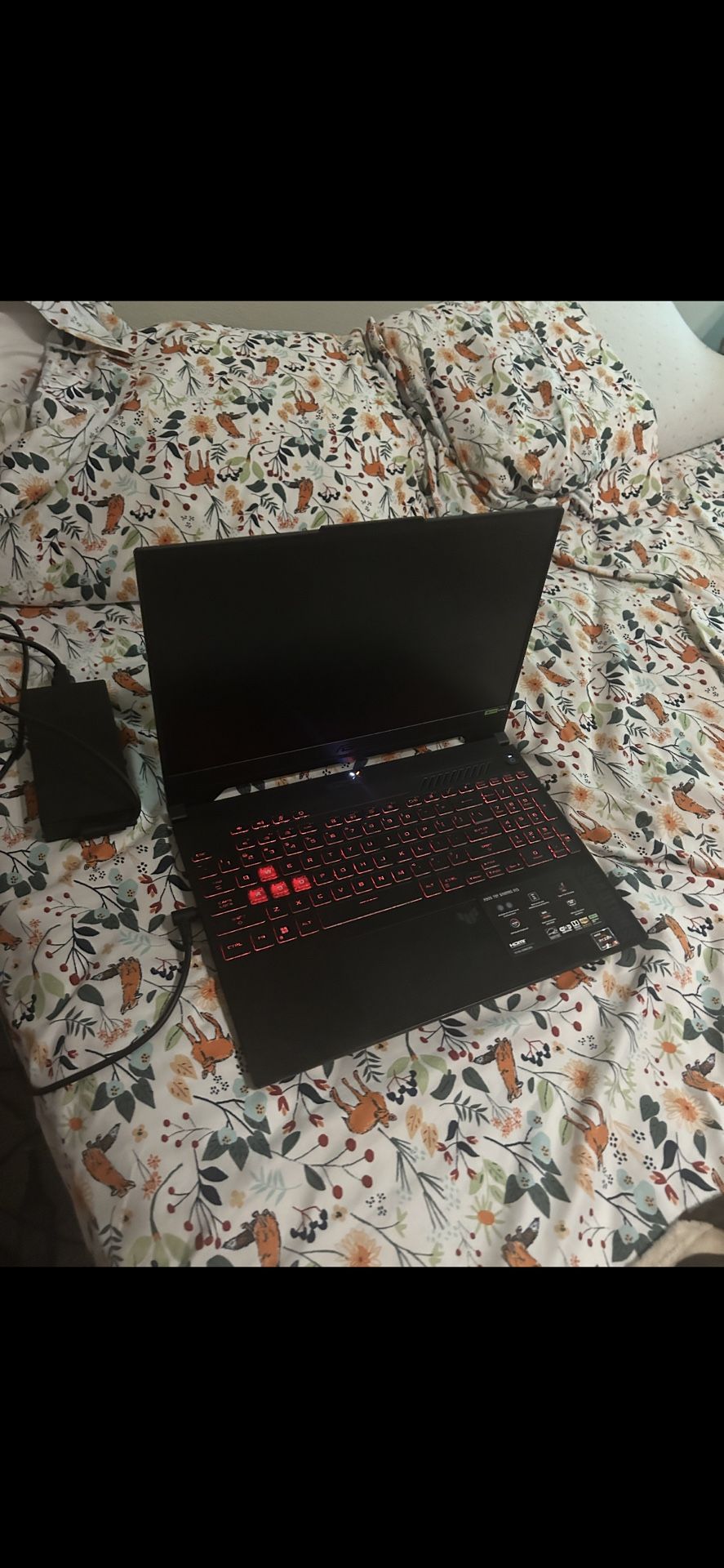 Asus TUF A15 4060 Graphics Card