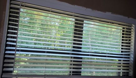 Blinds for 64" x 36" Window