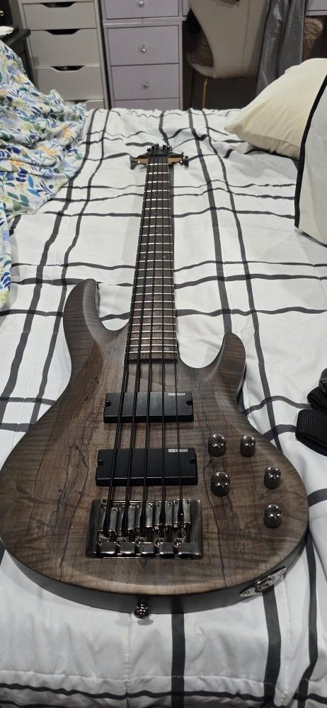 ESP
LTD B-205 5-String Bass Guitar Spalted Maple Trans Black Satin