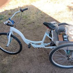 Schwinn electric online trike