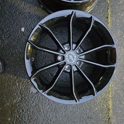 Wells Platinum By Ultra