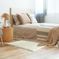 2x4 ft Fluffy WHITE Soft Area Rug for Bedroom