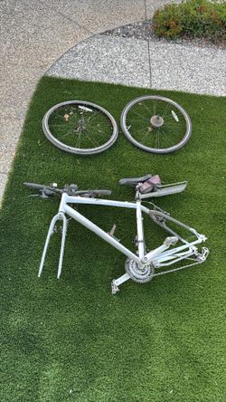 Trek Bicycle
