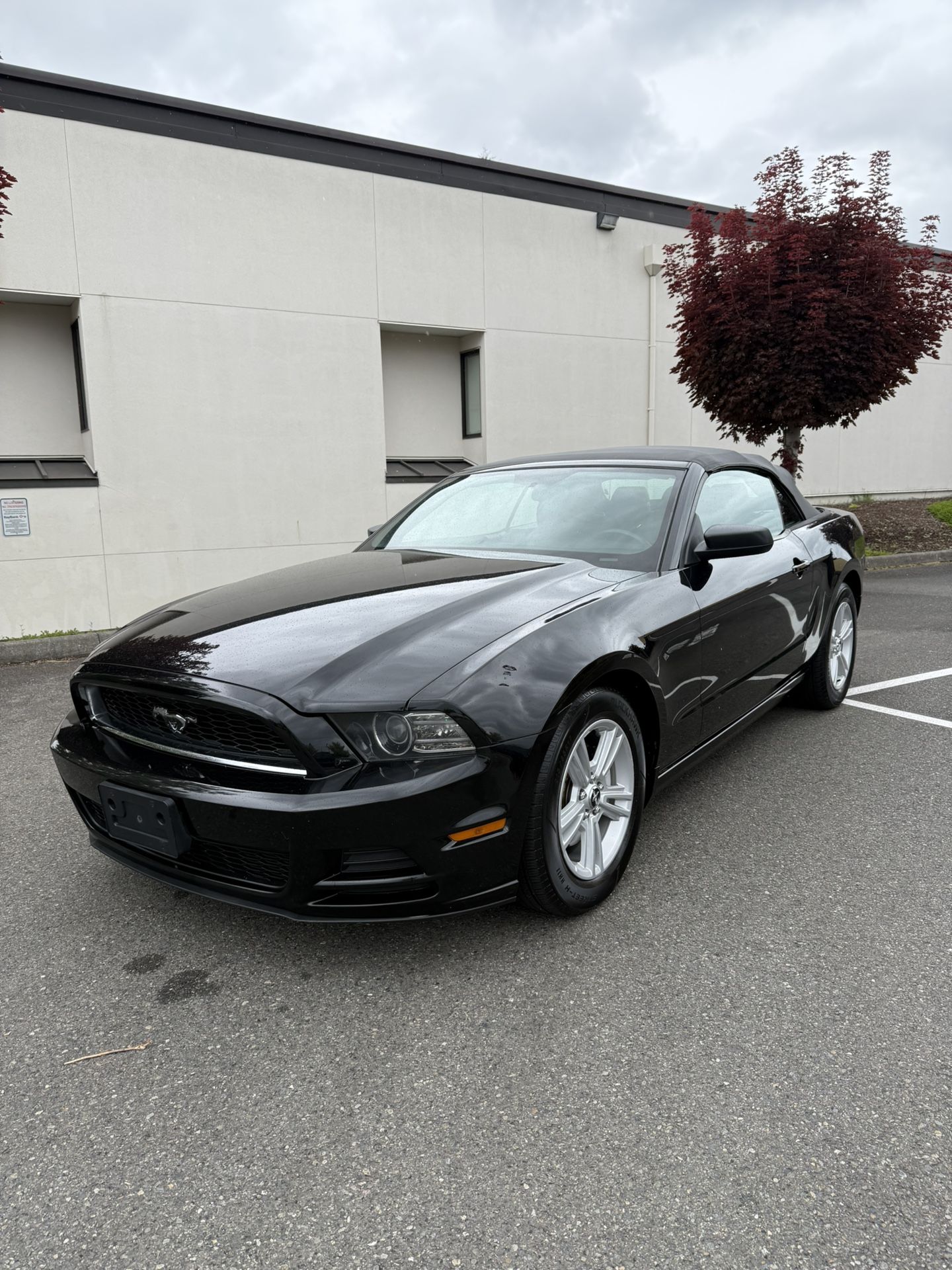 2013 Ford Mustang